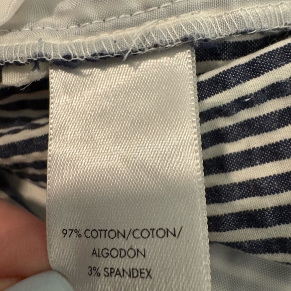 Ann Taylor Striped Seersucker Devin Bermuda Walking Shorts Size 12 - Picture 5 of 9